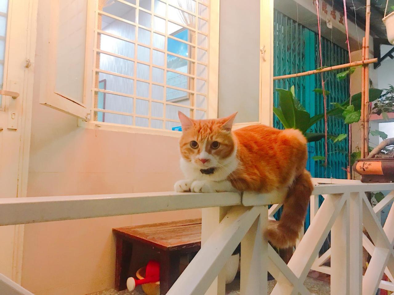 Qcub1 Homestay Ho Chi Minh-Byen Eksteriør billede